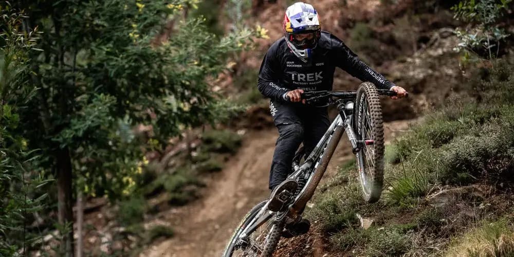 Frame adrenaline dh team clearance